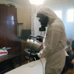 Дезинфекция от клопов в Чехове