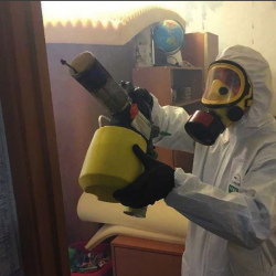Уничтожение клопов в квартире. Чехов